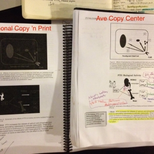 Photo of Professional Copy 'n Print