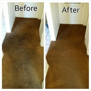 Photo of Complete Carpet Restoration