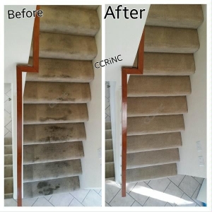 Photo of Complete Carpet Restoration