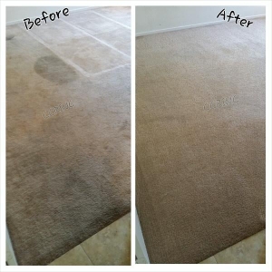 Photo of Complete Carpet Restoration