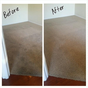 Photo of Complete Carpet Restoration
