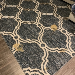 Photo of Extreme Clean