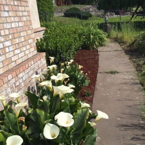 Photo of Morgan Real Estate Management