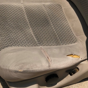 Photo of Detailing Docs & Upholstery