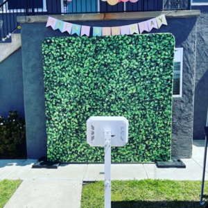 Photo of Everlasting Entertainment