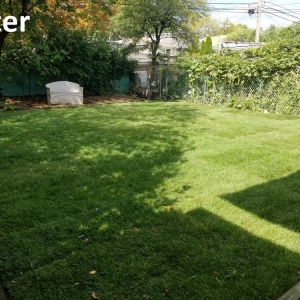 Skokie Green Edge Landscapes