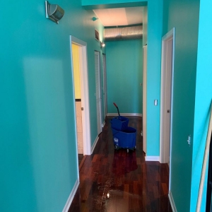 Photo of Pro Chicago Painters
