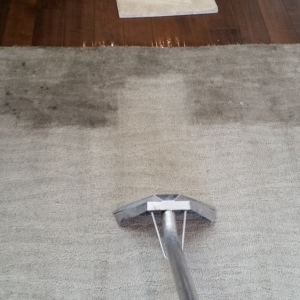 Photo of Accountable Carpet, Tile & Upholstery Cleaning