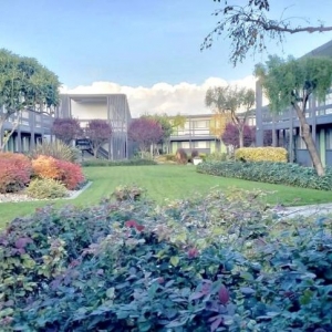 Photo of Airport Park Garden Office Suites