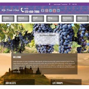 Photo of YourOwnURLs Small Business Solutions