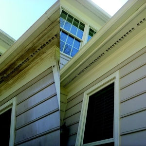 Photo of Pure Glass Window Cleaning