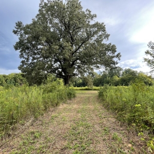 Photo of Camp Conquest