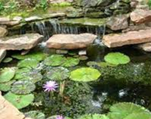 Photo of Otty's Landscape Construction