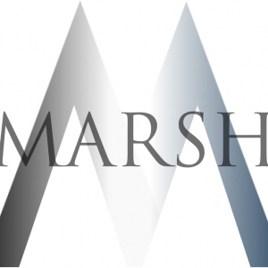 Photo of Marsh