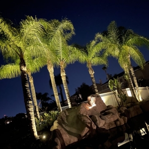Photo of Accurate Irrigation and Lighting Service