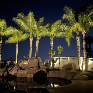 Photo of Accurate Irrigation and Lighting Service