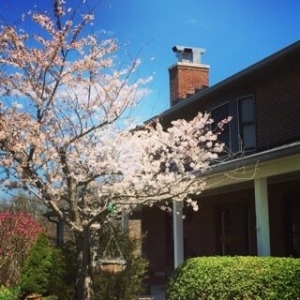 Photo of Chimney Solutions of Indiana