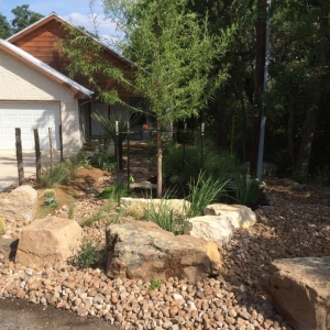 Photo of Texas Lawn and Garden
