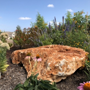 Photo of Texas Lawn and Garden