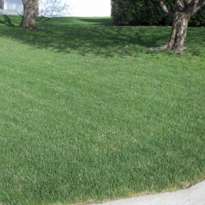Photo of Green Seasons Lawn & Tree Service