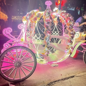 Photo of HRH & Yellow Rose Carriage