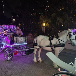 Photo of HRH & Yellow Rose Carriage