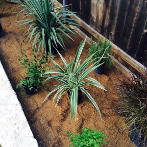 Photo of Dennis Jackson Landscaping