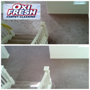 Photo of Oxi Fresh Carpet Cleaning