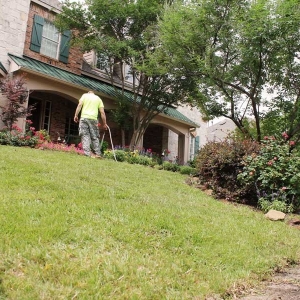 Photo of North Dallas Tree & Sod