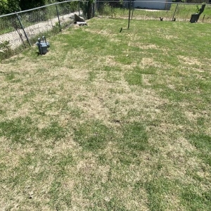 Photo of North Dallas Tree & Sod