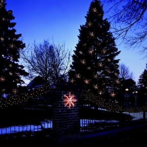 Photo of Arizona Christmas Lights