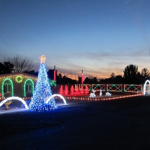 Photo of Arizona Christmas Lights