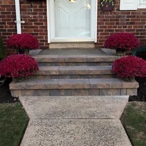 Photo of Lawngevity Landscape & Design