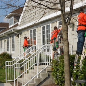 Photo of Squeeky Clean Window Washing