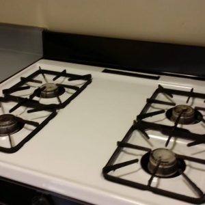 Photo of Persnickety Cleaning Service