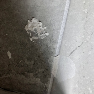 Photo of Pro-Tops
