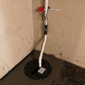 Photo of Basement Rehab