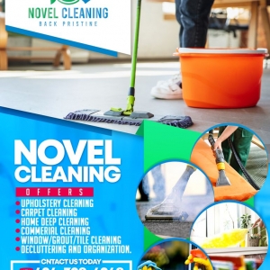 Milwaukee Novel Cleaning