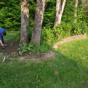 Photo of Lawn Dawgs