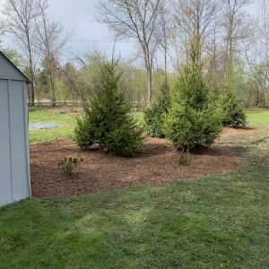 Photo of KB Landscaping & Snow Removal