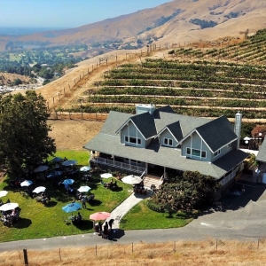 Photo of Big Dog Vineyards