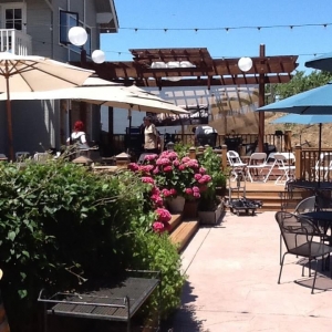 Photo of Big Dog Vineyards