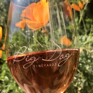 Photo of Big Dog Vineyards