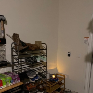 Photo of Bear Electric