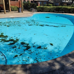 Photo of Al's Pool and Spa