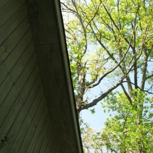 Photo of Jensen Lawn & Landscaping and Tree Service