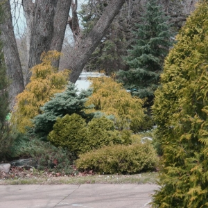 Photo of Masterpiece Landscaping