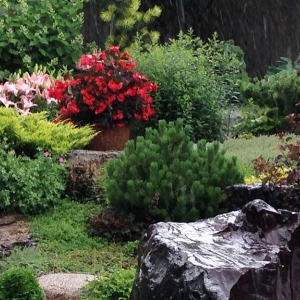 Photo of Masterpiece Landscaping