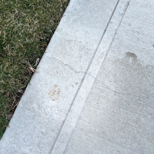 Photo of Maxima Concrete