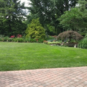 Photo of Gardens at Ray Eden